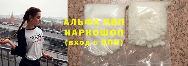 прущие грибы Осташков
