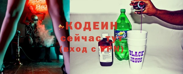 прущие грибы Осташков