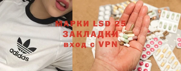 прущие грибы Осташков