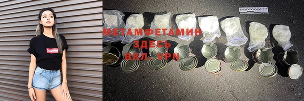 прущие грибы Осташков