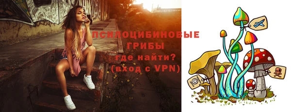 прущие грибы Осташков