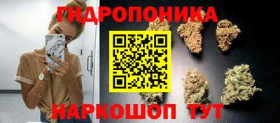 мет Бийск