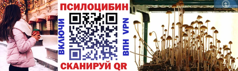 Псилоцибиновые грибы Psilocybe  blacksprut онион  Мурманск 