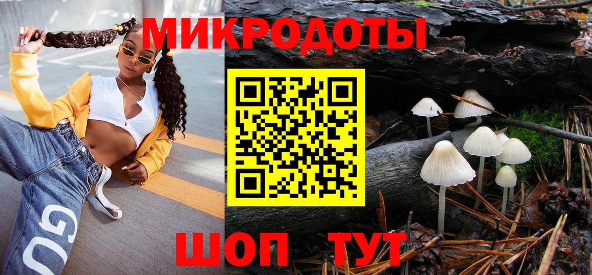 Псилоцибиновые грибы прущие грибы Мурманск
