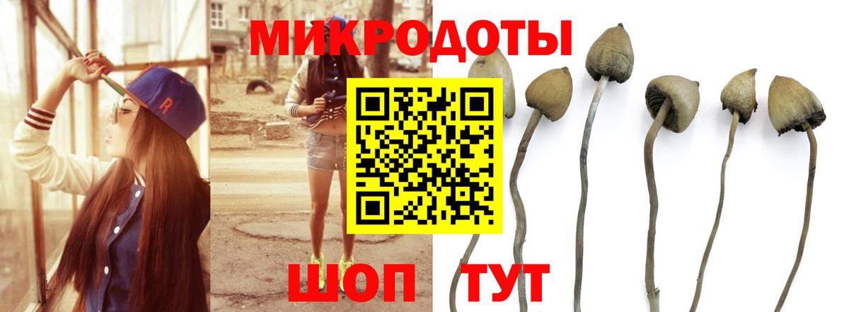 ГАШ Мурманск