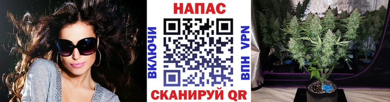 наркотики  Мурманск  Шишки марихуана семена 